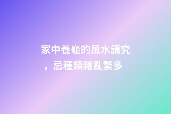 家中養龜的風水講究，忌種類雜亂繁多